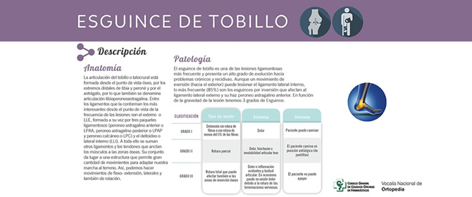 Esguince de tobillo, nuevo Protocolo de Actuación Farmacéutica publicado en  formato infografía - Farmacéuticos