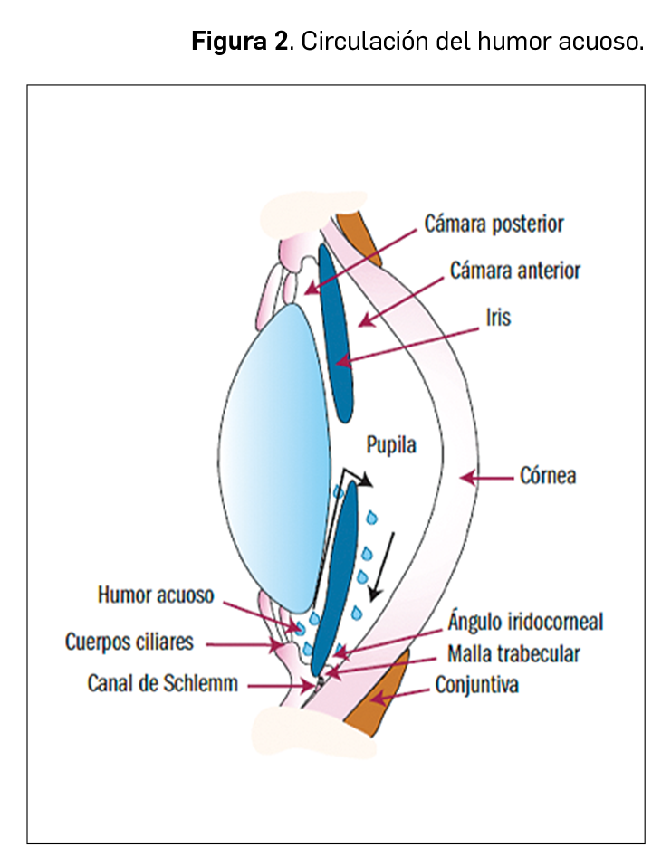 Valaciclovir Orden